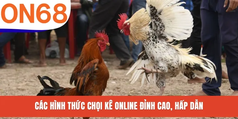 Các hình thức chọi kê online đỉnh cao, hấp dẫn