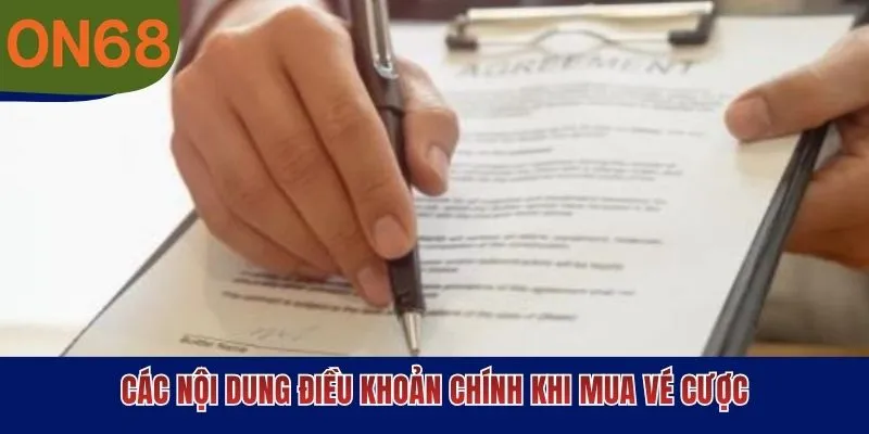 Các nội dung điều khoản chính khi mua vé cược