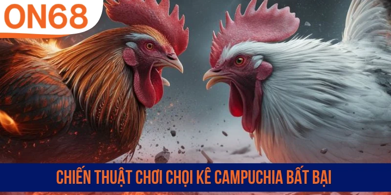 Chiến thuật chơi chọi kê Campuchia bất bại