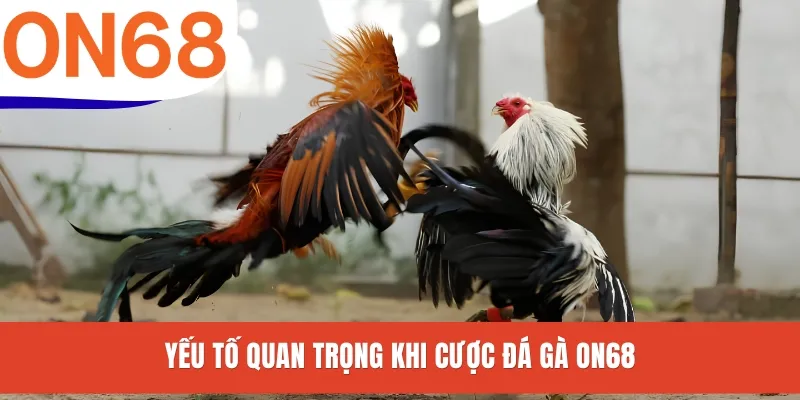Yếu tố quan trọng khi cược đá gà ON68